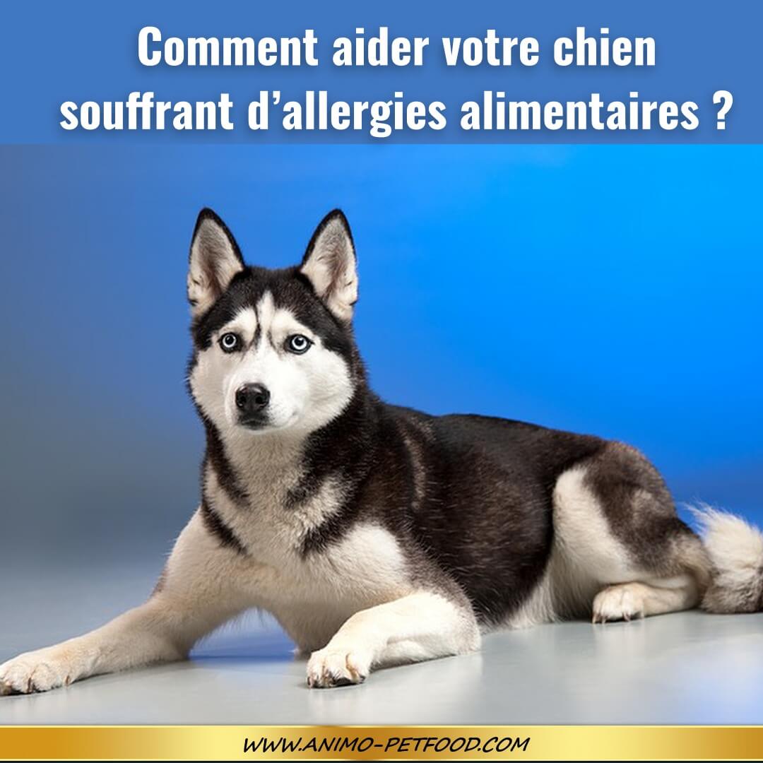 aliment hypoallergénique chien-nourriture hypoallergénique chien-croquettes hypoallergénique chien